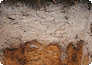 Bodenprofil Podsol