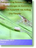 Ausgabe Dezember 2011 Online Aquarium-Magazin